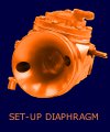 SET-UP Diaphragm